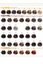 Hair Color Cream With Argan Oil & Marigold Extract Ash Irisee Brown 100ml 4.12 - 3