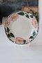 Wild-Rose Handmalerei Antique Porcelain Dinner Plate Pink Green