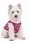 Cat - Dog - Interlock - Thin - Accessory - Clothed Collar Set (Clothing - Chest Collar - Walking Strap Set) - 2