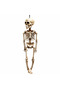 40CM Halloween Hanging Skeleton Decoration with Movable Joints