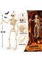 Halloween Hanging Skeleton Decoration, Poseable Plastic Skeleton Prop with Hanging Loop, 40CM - 2
