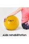 Exercise Ball 65cm for Athletes 5'7" to 6'1" Tall, Fitness for Home Gym, Rehab, Yoga & Pilates, Includes Inflation Adaptor, Green - 5