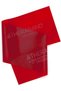 Non Latex Exercise Bands for Physio Practice and Beginners. (Red, 5 Ft.)