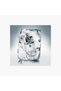 Shadow Ice عطر - 2