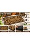 Decorative Outdoor Door Mat – Digital Printed, Non-Slip Pvc Plastic Based, Stylish Patterned Door Mat 40X70 cm - 2