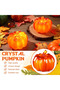 Light up Fall Pumpkin Halloween Pumpkin Decorations Autumn Thanksgiving Pumpkins with LED Lights for Decorating for Desk Table Decor Indoor Garden Indoor Outdoor Decorations, Plastic - 2