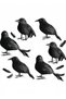 6 Pack Halloween Feathered Crows Decor Realistic Raven Birds Decorations Spooky Black Feathered Crows Halloween Prop Decor