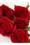 Rose 6pc Flower Stick – Red | 49cm Artificial Flower Stick | - 3