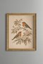 Two Magpies on Flowering Branches - Vintage Patterned Painting - Fine Model