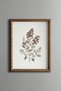 Floral Botanical Branch on Cream Background - Vintage Patterned Painting - Fine Model