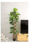 Fiddle Leaf Fig Tree 180cm (5.91ft) Tall Artificial Tree with Pot - 3