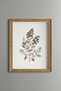 Floral Botanical Branch on Cream Background - Vintage Patterned Painting - Fine Model