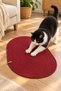 Tırmio Cat Play Mat, Knitted Scratching and Play Mat, 35 X 55 cm Cat Toy with String and Ball, Wicker-Jute Oval Paw Mat, Suitable for Indoor Use, Cats Play and Scratch on It, Decorative Cat Accessory