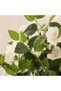 Bougainvillea Plant - 180Cm, White, Graceful Plant, Polyes - 2