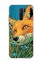Redmi 9 Compatible Fox Green Grass Printed Transparent Phone Case