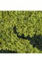 Artificial Moss With Frame 50X100 Cm, Multi Color, Graceful - 2