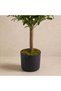 Twin Sphere Olive Tree - 150Cm, Green, Lush Tree, Polyeste - 3