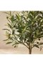 Twin Sphere Olive Tree - 150Cm, Green, Lush Tree, Polyeste - 2