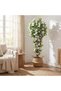 Bougainvillea Plant - 180Cm, White, Graceful Plant, Polyes - 5