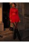 Zr Model Layered Ruffle Transparent Mini Dress