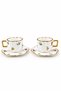 Gold Detailed Floral Patterned Porcelain Turkish Coffee Cup Set of 2