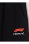 Rmz Gi̇yi̇m Farkiyla Formula 1 Boys' Thick Sweatpants - 3