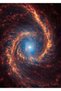 Spiral Galaxy NGC 1566 Movie Metal Poster - Magnetic Wall Art Print
