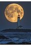 Lighthouse 2 Pop Art Metal Poster - Magnetic Wall Art Print