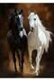 Black and White Horses Pop Art Metal Poster - Magnetic Wall Art Print