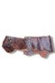 Women's Ludovica Brown Snake Pattern Leather Belt - Casual Belt - Standard Size - 6