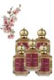 5 قطع Cherry Tobacco عطر 100ML