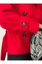 Buttoned Stand Collar Belted Jacket - 3