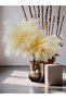 Large Stabilized Pampas Decorative Tree