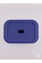 Small Size 4 Liter 30X20X10 cm Polypropylene Plastic Organizer with Navy Blue Lid - Toy Box and Storage Basket - 4