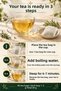 9-Pack of Mixed Herbal Tea with Mate, Rosemary, and Green Tea - 40 Filtered Tea Bags - 3