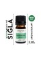 Frankincense (Daily) Essential Oil - 100% Pure (5 ml)