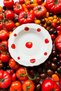 X Bengi Kurtcebe Pomodoro Stoneware 4-Piece Dinner Plate Set 23 cm - 5