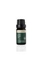 Organic Argan Oil 10 ml
