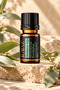 Eucalyptus Essential Oil 10 ml - 100% Pure and Natural