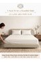 Stripe Comforter Set- Ultra Soft Brushed Microfiber Fabric, Soft Siliconized Fiber Filling - 4