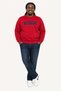 Men's Large Size Crew Neck 3Ip Sweat Core 1975 24209 Bordo - 2