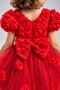 Rosali Lase Detail Girls Tutu Evening Dress M00803 Red - 4