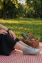 12 Pack Mixed Color Women's Bamboo Seamless Bootie Socks - Premium - 4