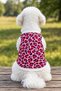Cat - Dog - Interlock - Thin - Accessory - Clothed Collar Set (Clothing - Chest Collar - Walking Strap Set) - 3