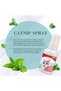 Catnip Spray 50ml - 3