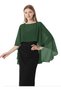 womens Chiffon Cape001 Pashmina Shawl - 4