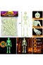 Glow in The Dark Full Body Halloween Skeleton Decoration - 2
