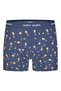 Trunk Fan Print Sets - 3