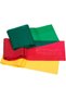 Resistance Bands Set, Professional Non-Latex Elastic Band For Upper & Lower Body Exercise, Strength Training without Weights, Physical Therapy, Pilates, Rehab, Yellow & Red & Green, Beginner