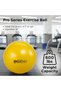 Exercise Ball, Professional Series Stability Ball with 75 cm Diameter for Athletes 6'2" to 6'8" Tall, Slow Deflate Fitness Ball for Improved Posture, Balance, Yoga, Pilates, Core, Blue - 2